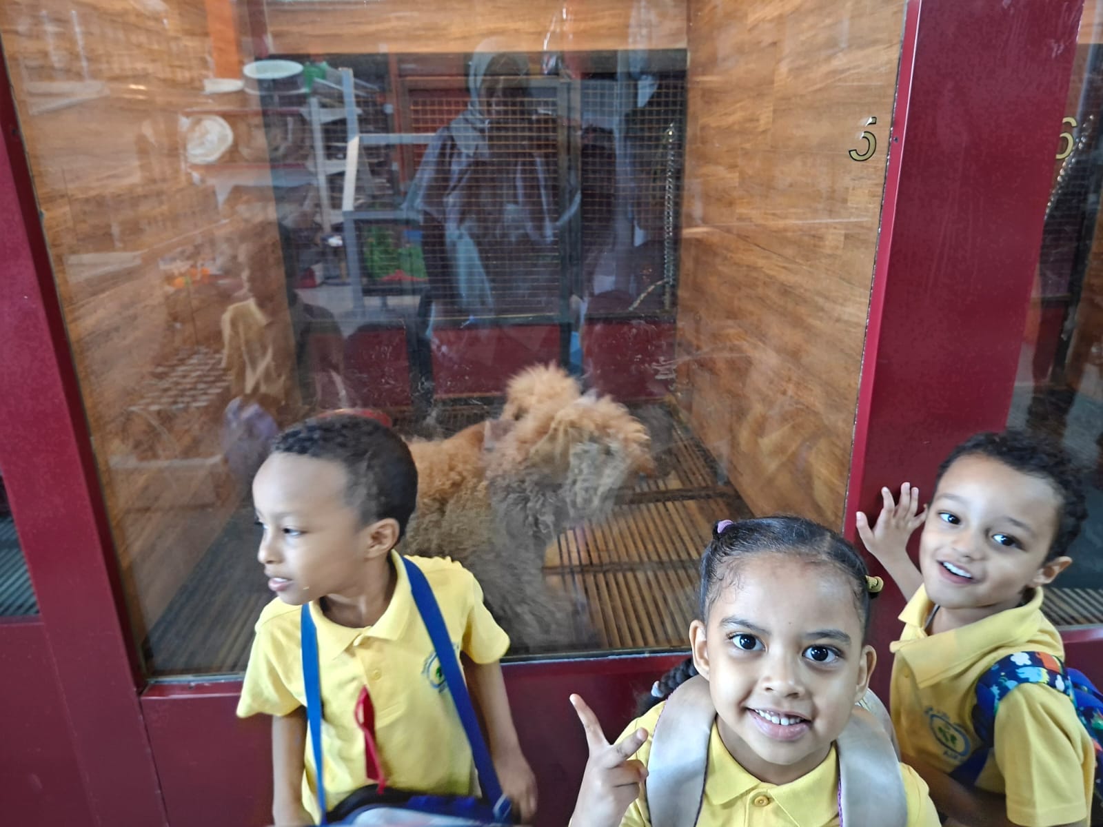 Students meeting animals