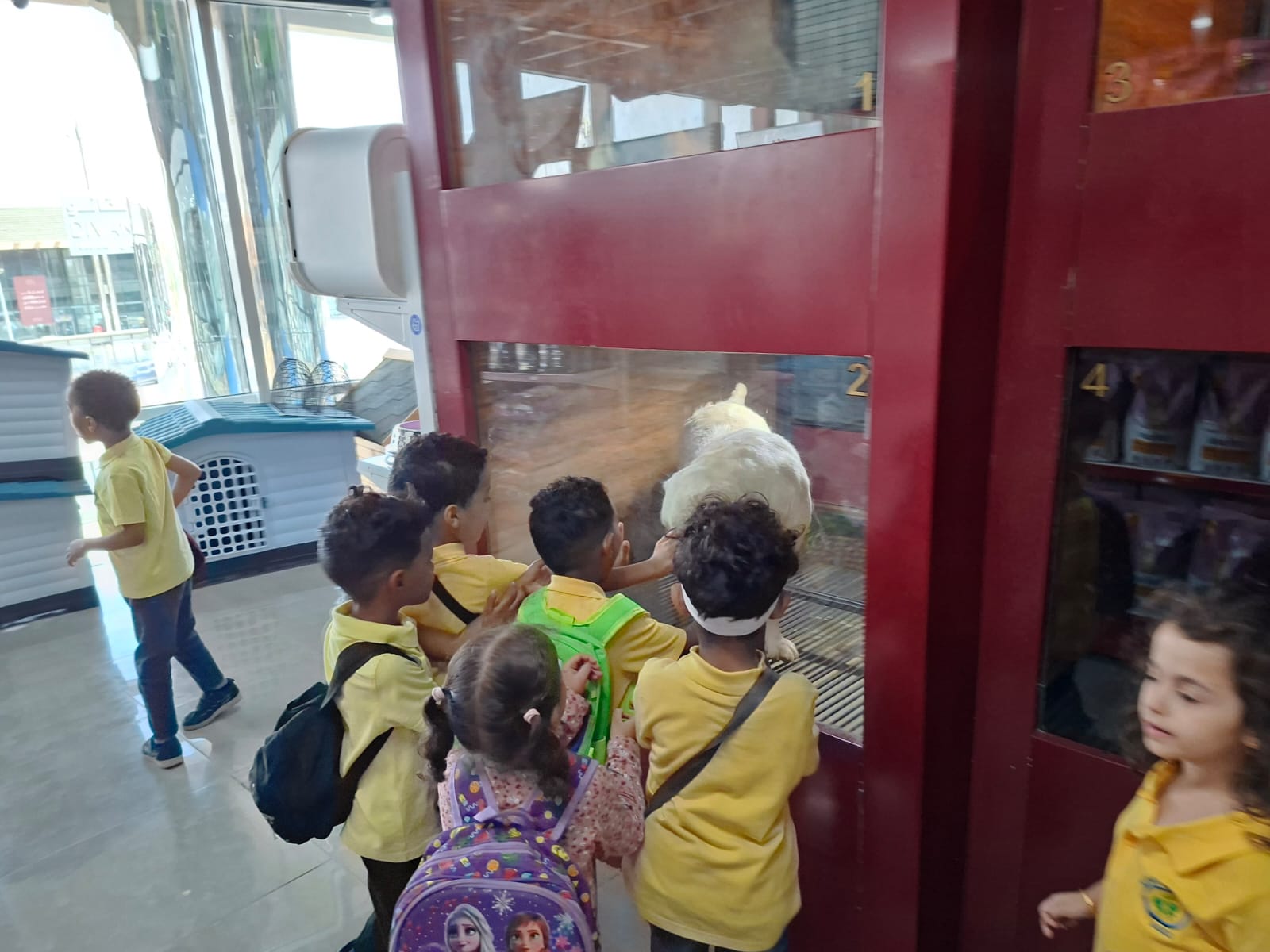 Students exploring