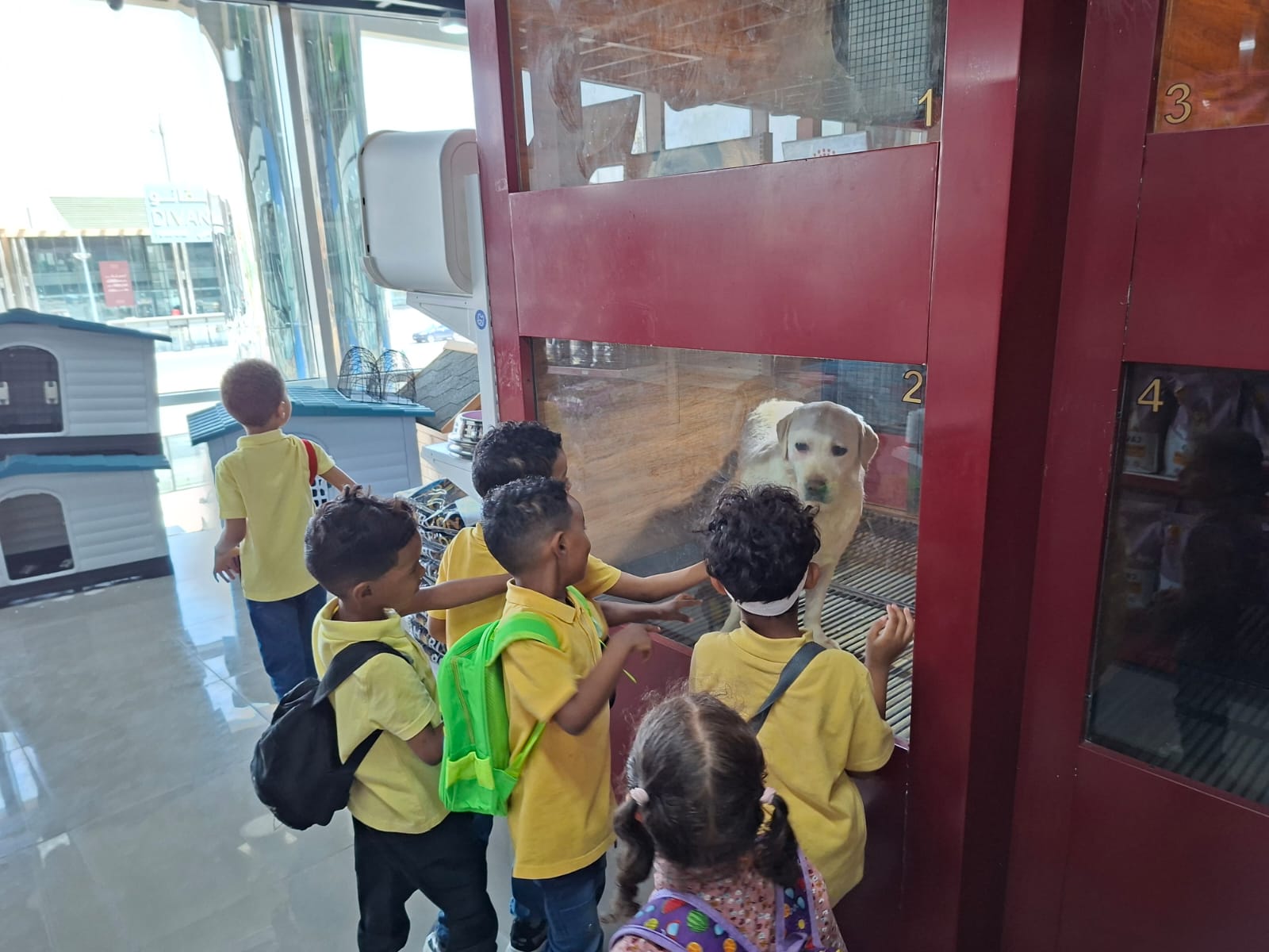 Students learning
